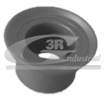 24607 3RG Втулка КПП Renault Clio I/II, Kangoo, Megane, Logan 04-