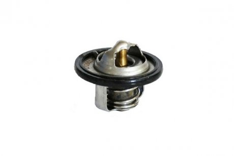 ASAM DAEWOO Термостат Matiz 30653