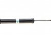 19-106649 BILSTEIN Амортизатор Bilstein BMW 5 (E39) B4 R (фото 2)