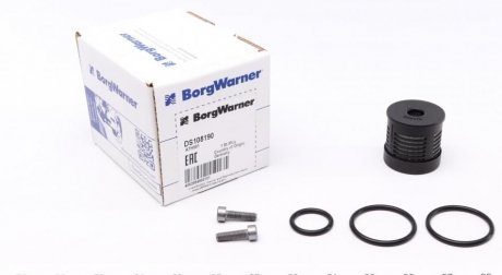 DS108190 BorgWarner Фильтр масляный BORGWARNER DS108190