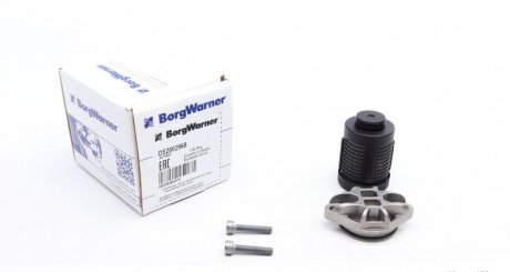 DS2002968 BorgWarner Ремкомплект масляного фільтра муфти диференціалу BORGWARNER DS2002968