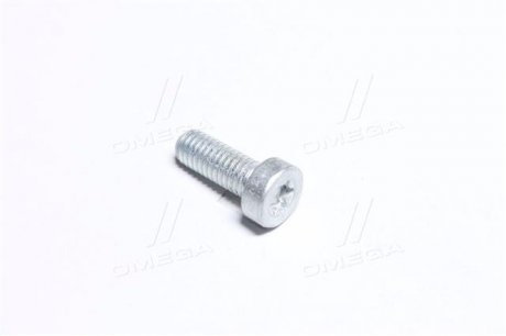 2912738197 BOSCH ГВІНТ SH cap screw (вир-во BOSCH)