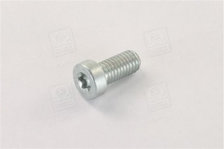 F 01M 100 684 BOSCH Болт з фігурною головкою