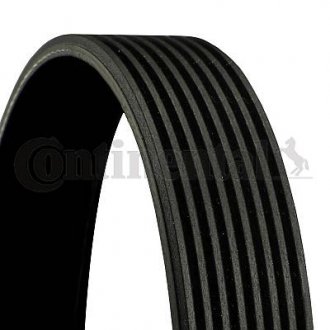 8PK2630 Contitech Дорожный пас