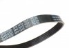 5PK1013HD DAYCO Ремінь генератора поліклиновий DAYCO 5PK1013HD (фото 2)