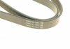6PK902S DAYCO Ремень генератора поликлиновый DAYCO 6PK902S (фото 4)