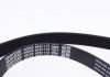 KPV451 DAYCO Комплект ремня генератора DAYCO KPV451 (фото 4)