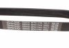 KPV621 DAYCO Комплект ременя генератора Citroen C-Crosser/Peugeot 4007 2.2D 07- DAYCO KPV621 (фото 9)