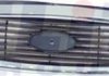 2554 990 ELIT Решітка радіатора (фото 1)
