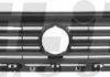 KH9521 995 ELIT Решітка радіатора (фото 1)