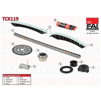 TCK119 FAI Комплект ланцюга ГРМ