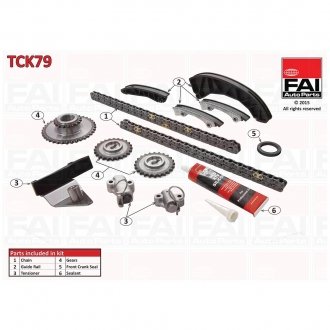TCK79 FAI Комплект ланцюга ГРМ