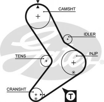 Пас ГРМ з довжиною кола понад 60 см, але не більш як 150см 5039
