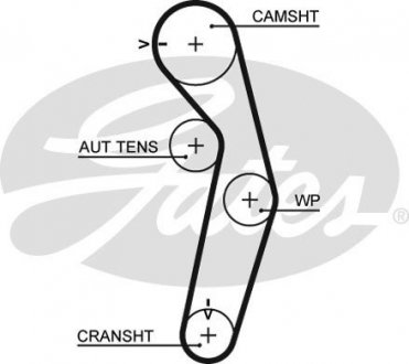 5441XS Gates Ремінь зубч. ГРМ Z=116 (Вир-во Gates) Розпродаж