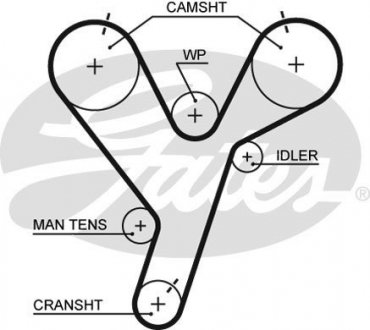 5446XS Gates 5446XS (8597-15446) Ремень ГРМ GATES XS