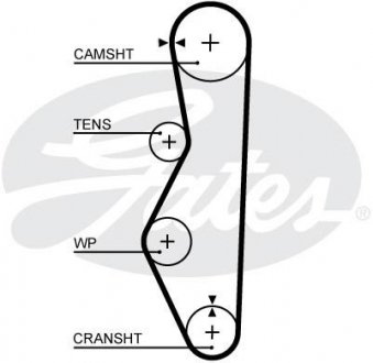5521 XS Gates Ремінь ГРМ