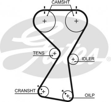 5534XS Gates Пас ГРМ з довжиною кола понад 60 см, але не більш як 150см