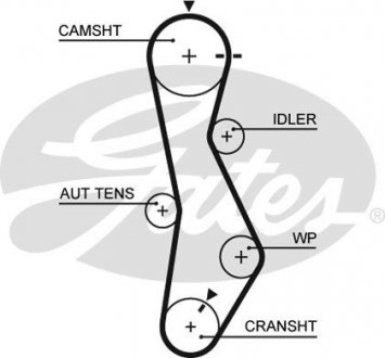 5579 XS Gates Ремінь ГРМ