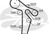 K015648XS Gates К-кт ГРМ Audi A4, TT Skoda Octavia, Superb VW Golf V, Passat, Tiguan 2.0TDI 03.05- (фото 2)