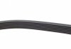 1105 K 6 HUTCHINSON Ремень генератора Nissan Primera/Fiat Marea 1.8-2.4JTD 96-02 HUTCHINSON 1105 K 6 (фото 2)