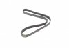 1105 K 6 HUTCHINSON Ремень генератора Nissan Primera/Fiat Marea 1.8-2.4JTD 96-02 HUTCHINSON 1105 K 6 (фото 5)