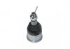 SBJ-2024 KAVO Шаровая опора (шарнир) KAVO PARTS SBJ-2024 (фото 2)