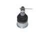 SBJ-2024 KAVO Шаровая опора (шарнир) KAVO PARTS SBJ-2024 (фото 3)