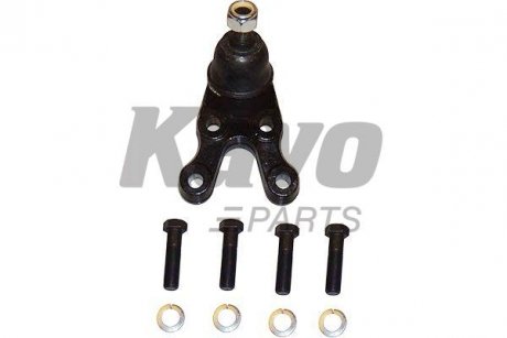 SBJ-3024 KAVO Опора кульова (передня/знизу) Hyundai Terracan 01-06 KAVO PARTS SBJ-3024