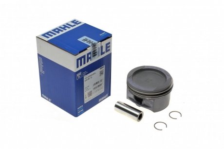 030 60 13 MAHLE / KNECHT Поршень MAHLE 030 60 13