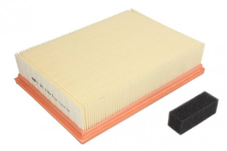 C261381KIT MANN Фільтр повітря