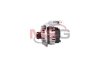FG15S091 MSG Генератор відновлений FORD FOCUS III 13-н.в., FOCUS III Turnier 13-н.в., FOCUS III седан 13-н.в. (фото 2)
