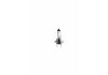 48729 NARVA H7 HEAVY DUTY 24V 70W PX26d (фото 2)