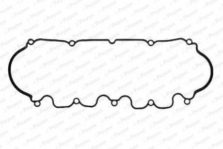 JN692 Payen Прокладка кришки клапанів