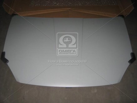 015 0100 280C TEMPEST Капот CHERY ELARA 06-11 (ви-во TEMPEST)