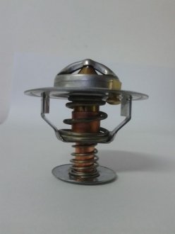 D2CA002TT THERMOTEC Термостат