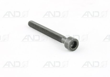 070103385A VAG Болт M6X55 крепления насос-форсунки AUDI/VW (070103385A) VAG